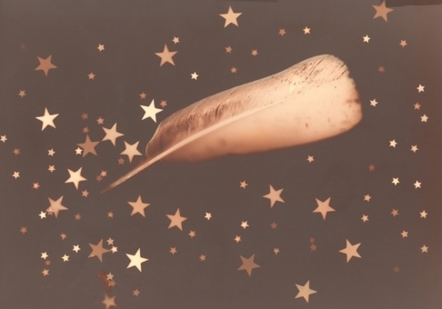 Fly Me to the Stars by Natasha Sanchez | A sparkly Lumen print reproduction originally created with black and white photo paper, a feather, m Fly Me to the Stars